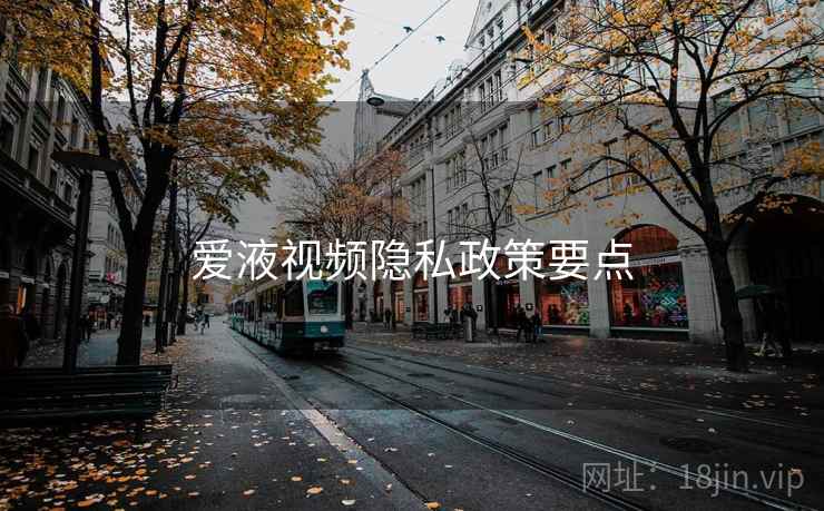 爱液视频隐私政策要点