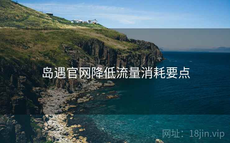 岛遇官网降低流量消耗要点