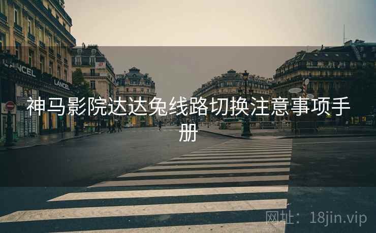 神马影院达达兔线路切换注意事项手册