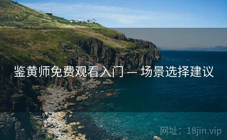 鉴黄师免费观看入门 — 场景选择建议