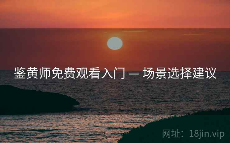 鉴黄师免费观看入门 — 场景选择建议