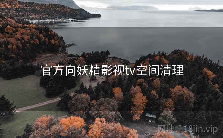 官方向妖精影视tv空间清理