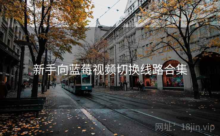新手向蓝莓视频切换线路合集