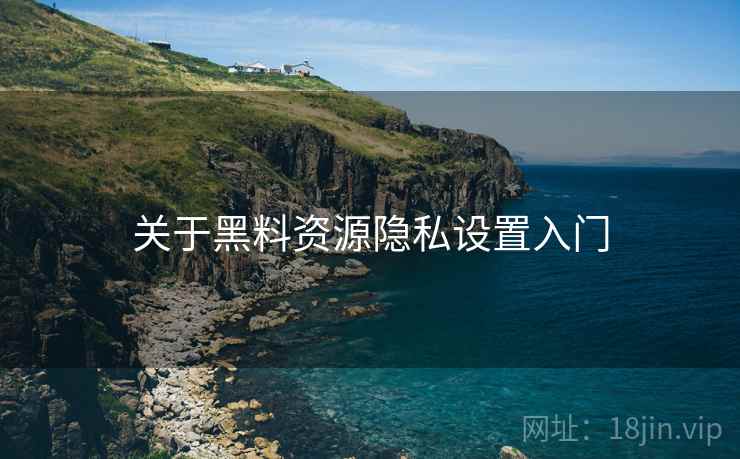 关于黑料资源隐私设置入门