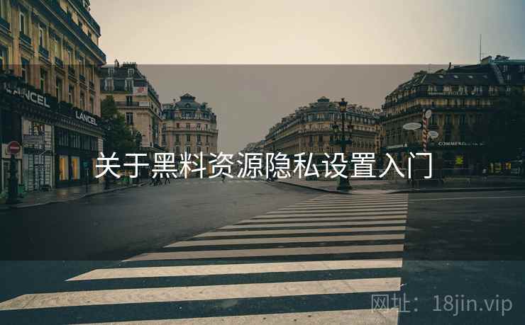 关于黑料资源隐私设置入门