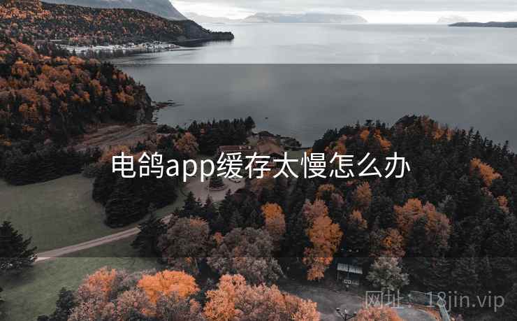 电鸽app缓存太慢怎么办