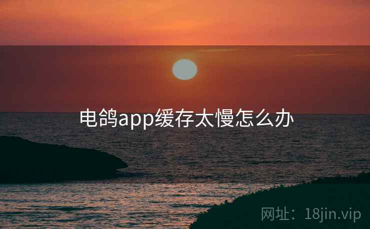 电鸽app缓存太慢怎么办