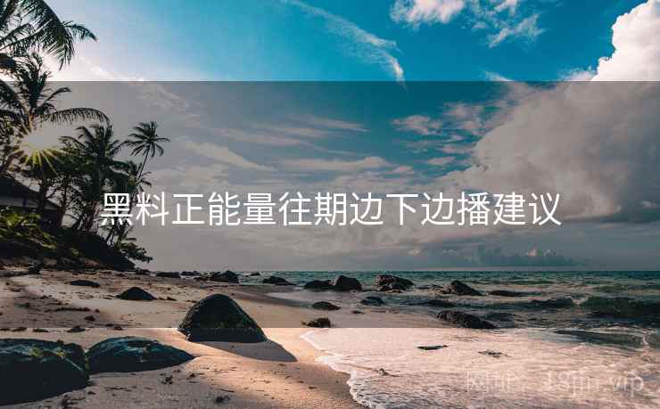 黑料正能量往期边下边播建议