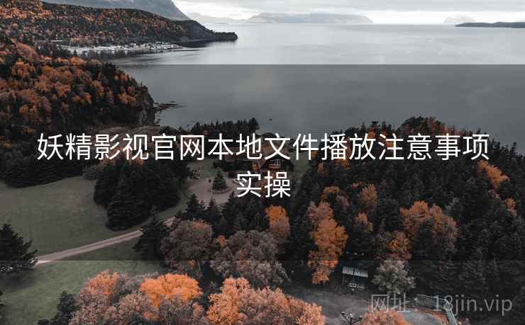 妖精影视官网本地文件播放注意事项实操