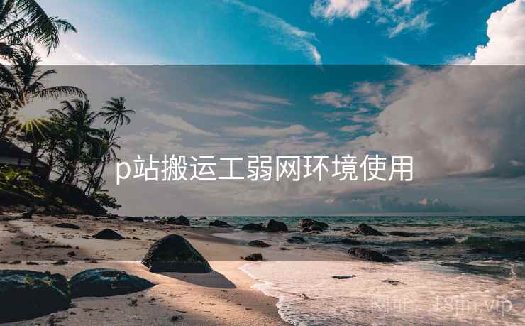 p站搬运工弱网环境使用