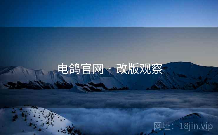 电鸽官网 · 改版观察