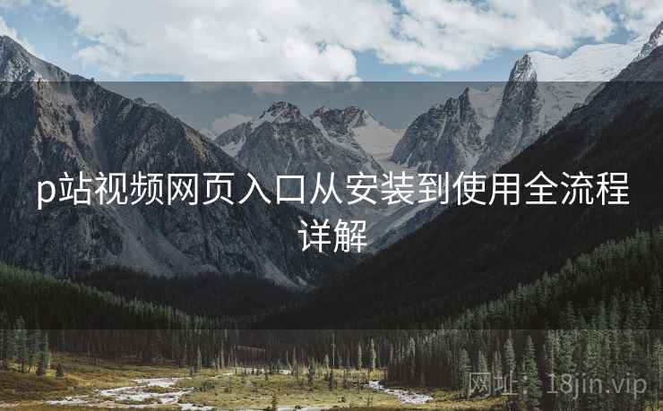 p站视频网页入口从安装到使用全流程详解