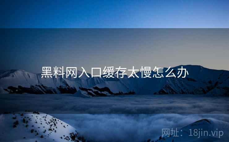 黑料网入口缓存太慢怎么办