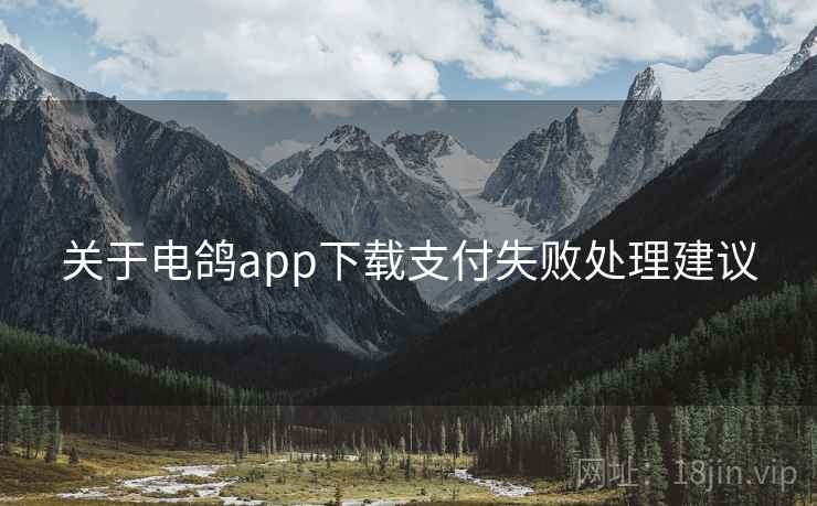关于电鸽app下载支付失败处理建议