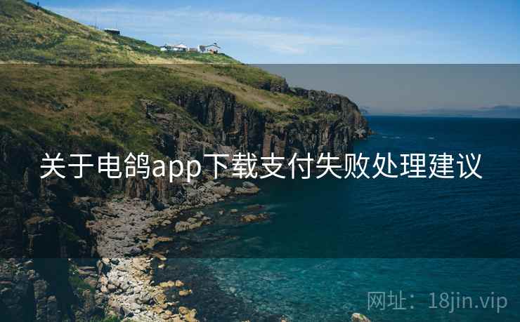关于电鸽app下载支付失败处理建议