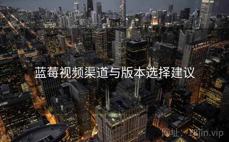 蓝莓视频渠道与版本选择建议