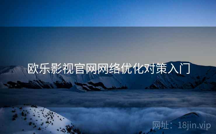 欧乐影视官网网络优化对策入门