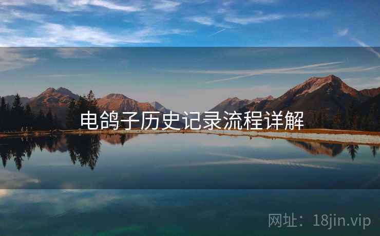 电鸽子历史记录流程详解