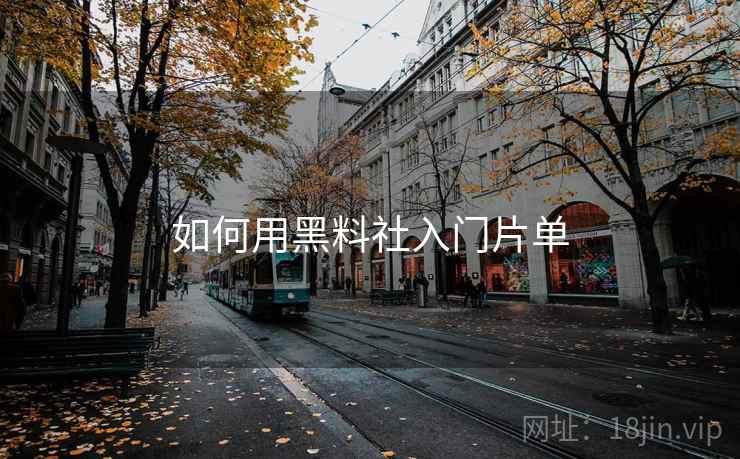 如何用黑料社入门片单