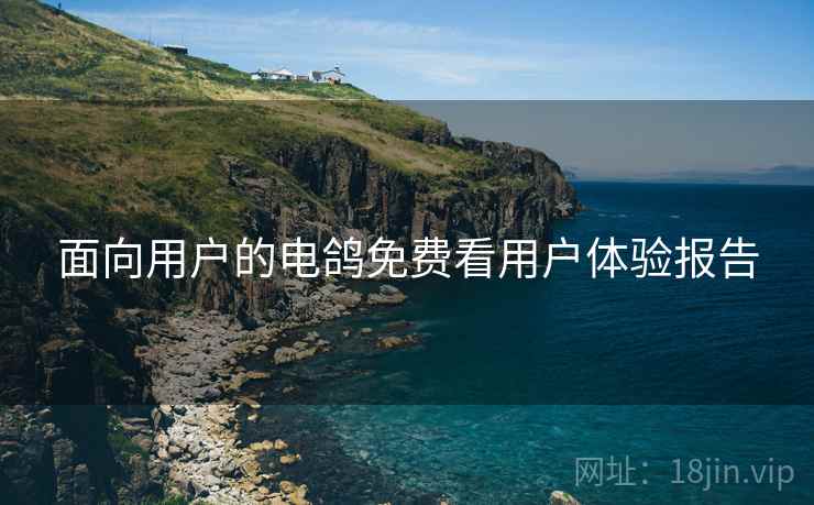 面向用户的电鸽免费看用户体验报告