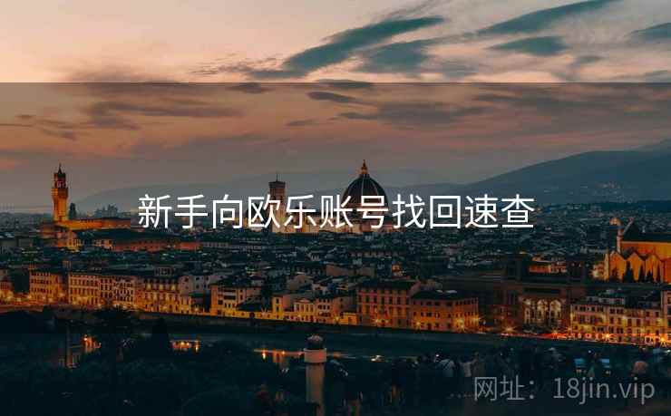 新手向欧乐账号找回速查