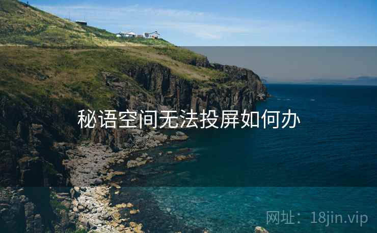 秘语空间无法投屏如何办