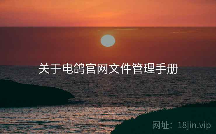 关于电鸽官网文件管理手册