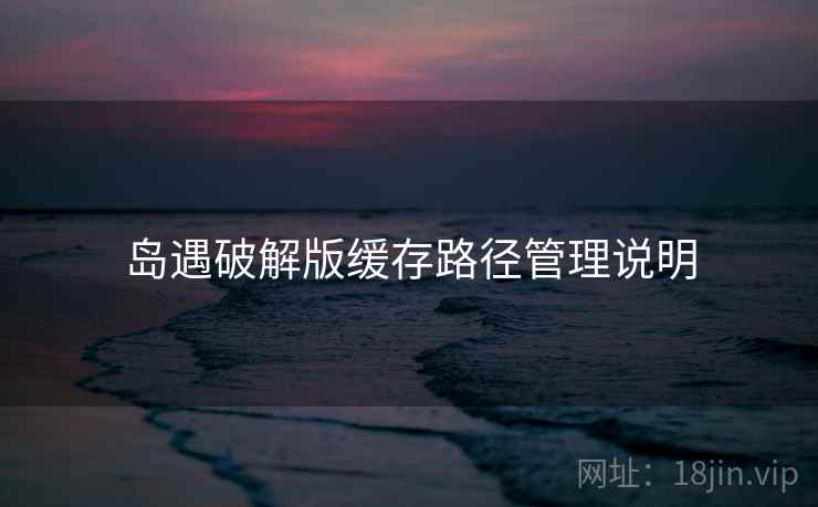 岛遇破解版缓存路径管理说明