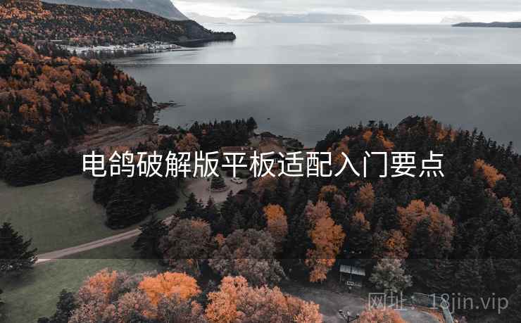 电鸽破解版平板适配入门要点