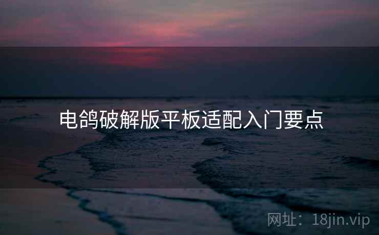电鸽破解版平板适配入门要点