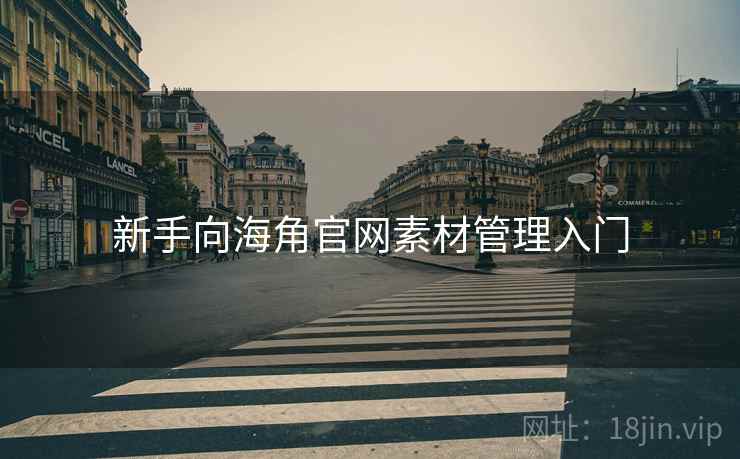 新手向海角官网素材管理入门