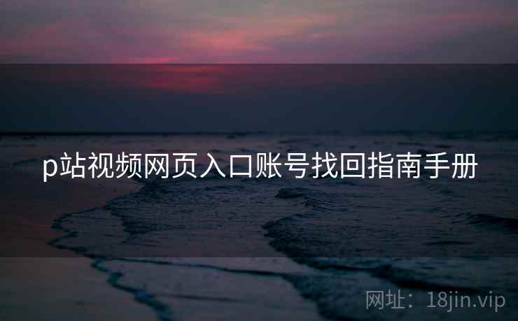 p站视频网页入口账号找回指南手册