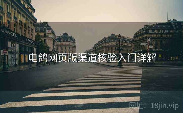 电鸽网页版渠道核验入门详解