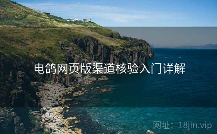 电鸽网页版渠道核验入门详解