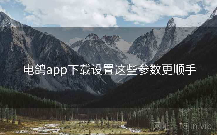 电鸽app下载设置这些参数更顺手